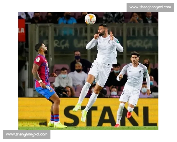 莱赫卡爆冷横扫 5 号种子 女王杯强势开局